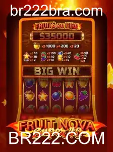 Explorando o Universo de FruitNovaSuper40 no BR222.COM